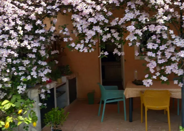 Chambre d'Hôtes L'Odalyre